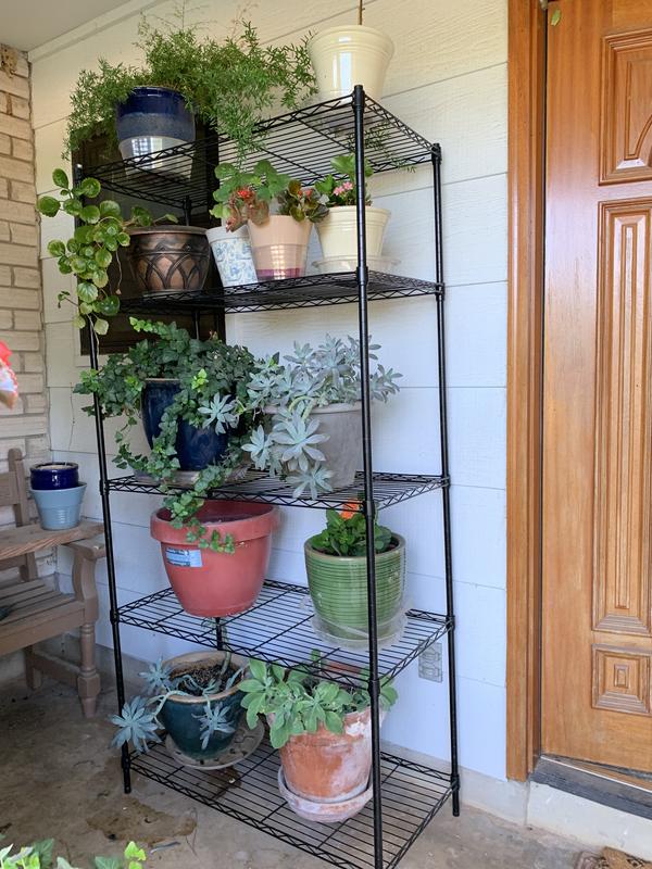Group of plants on a black wire shelf